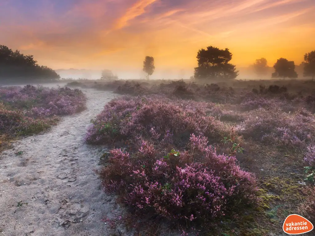 Vakantieadressen accommodatie afbeelding