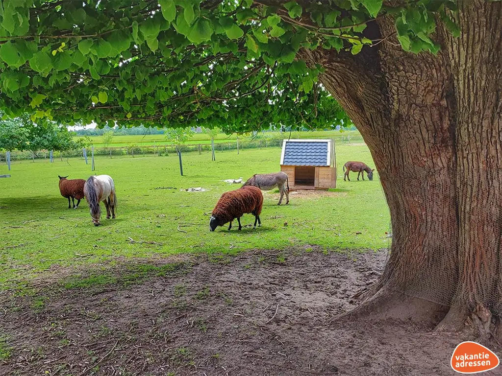 Vakantieadressen accommodatie afbeelding