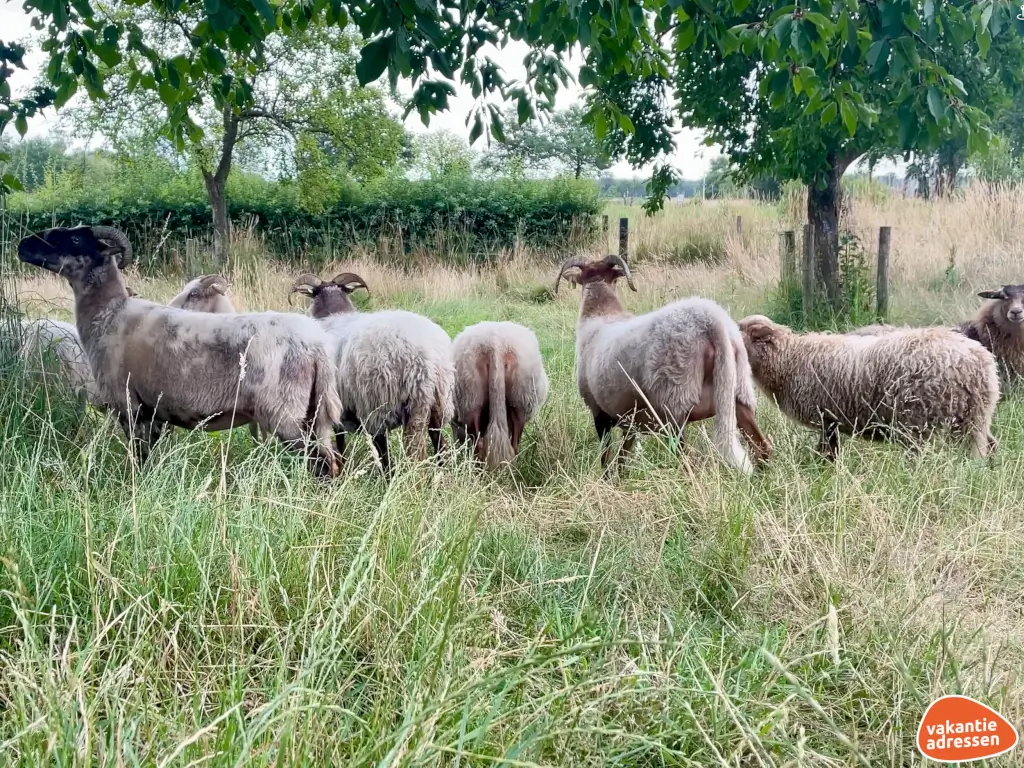 Vakantieadressen accommodatie afbeelding