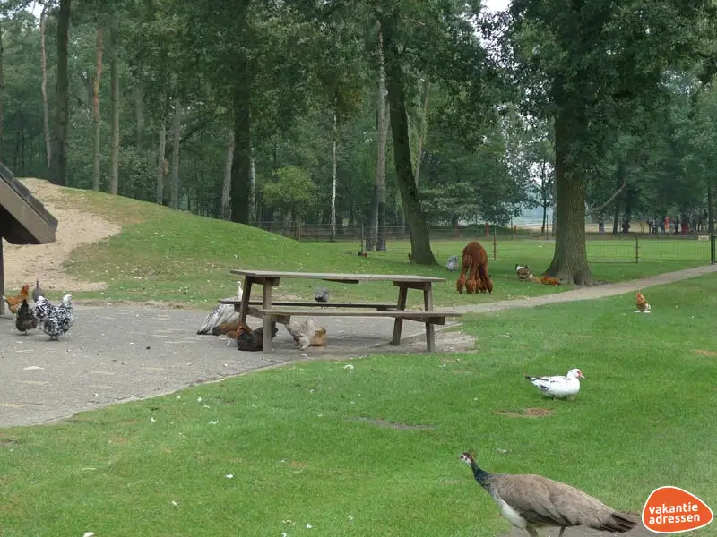 Vakantieadressen accommodatie afbeelding