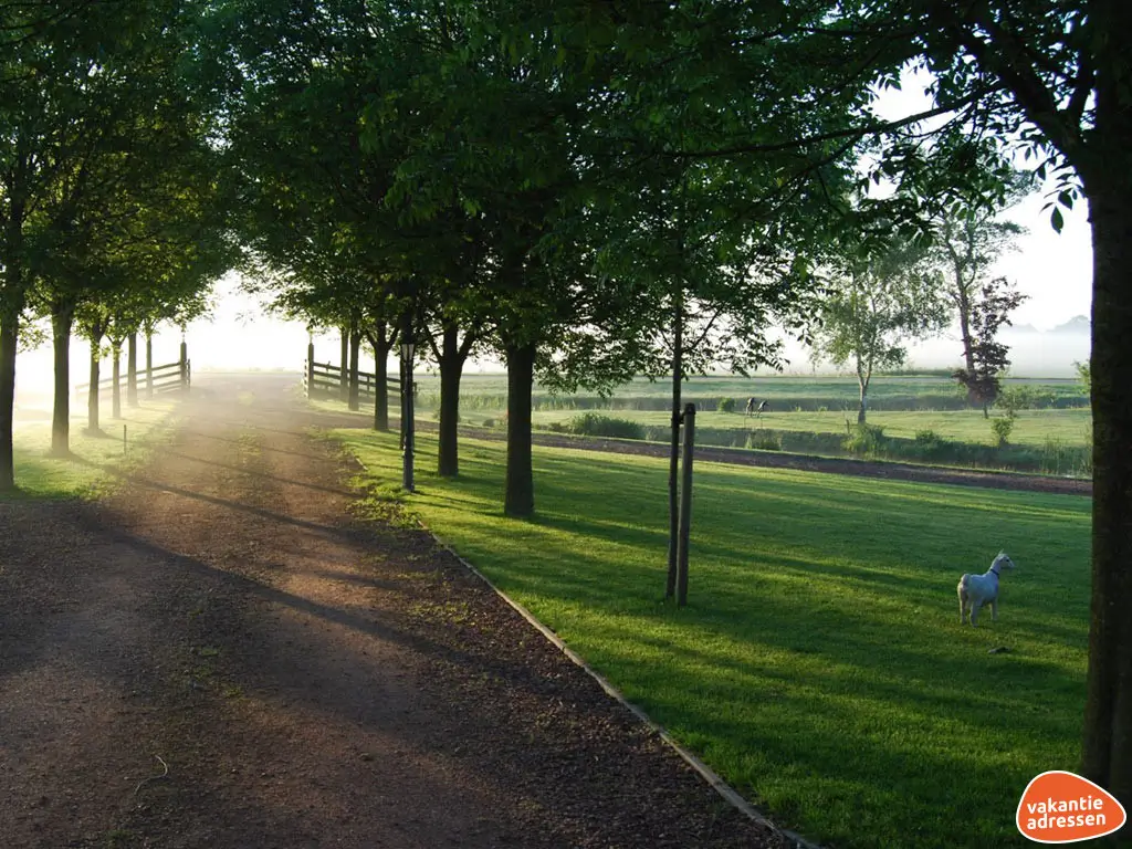 Vakantieadressen accommodatie afbeelding