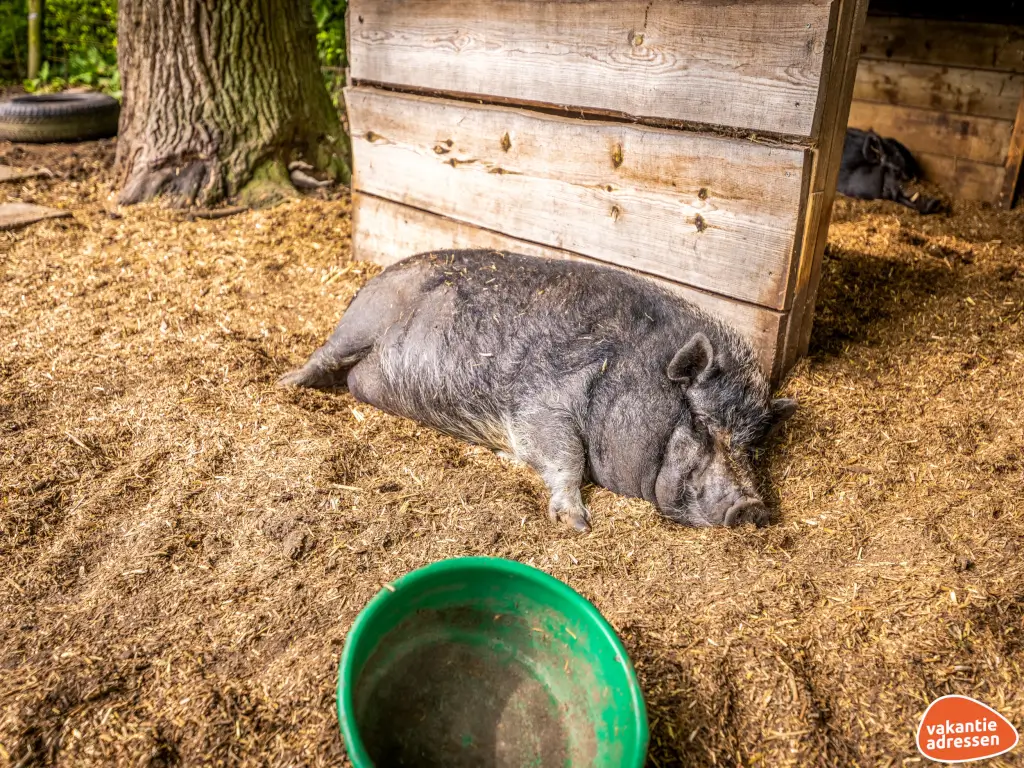 Vakantieadressen accommodatie afbeelding