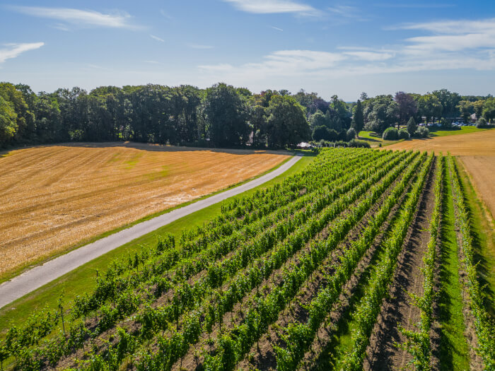 Ferienwohnung in Berg en Dal (Gelderland) für 20 Personen.