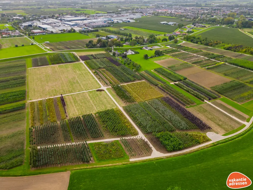 Vakantieadressen accommodatie afbeelding