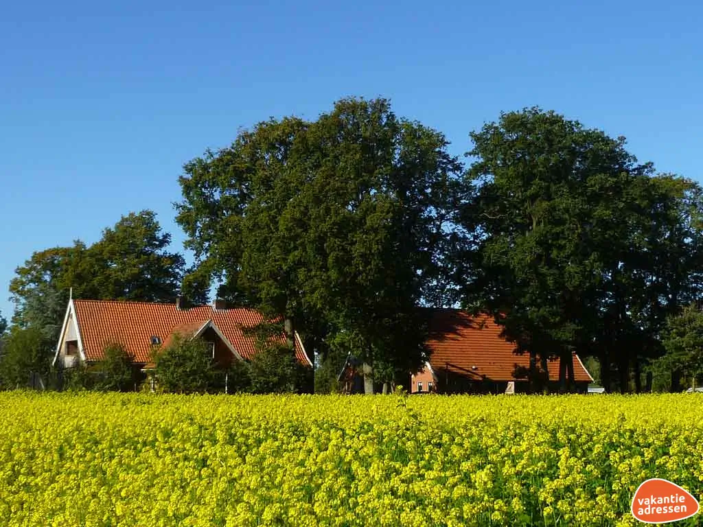 Vakantieadressen accommodatie afbeelding