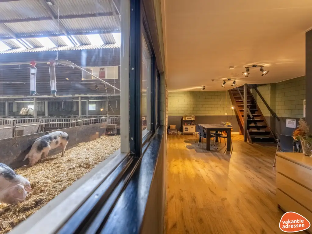 Vakantieadressen accommodatie afbeelding