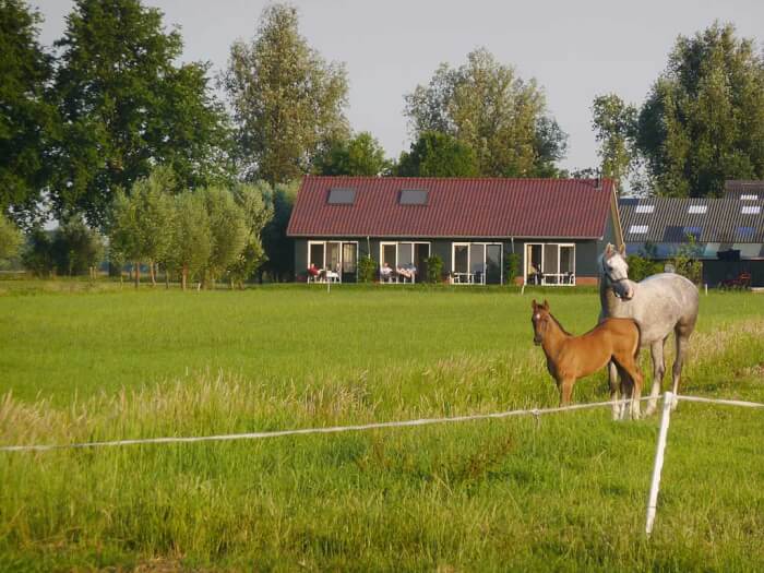 Ferienwohnung in Goudriaan (Südholland) für 16 Personen.
