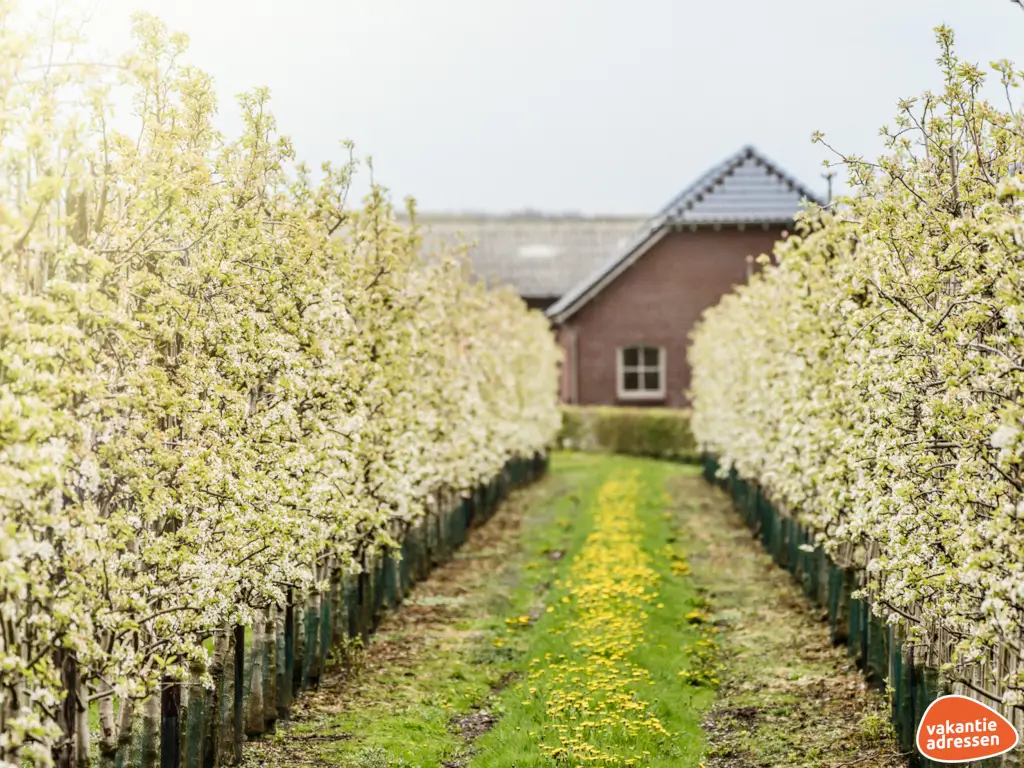 Vakantieadressen accommodatie afbeelding