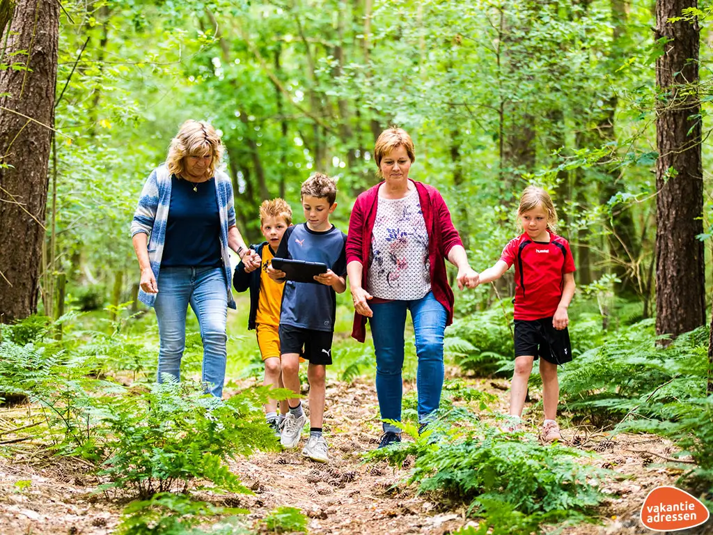 Vakantieadressen accommodatie afbeelding