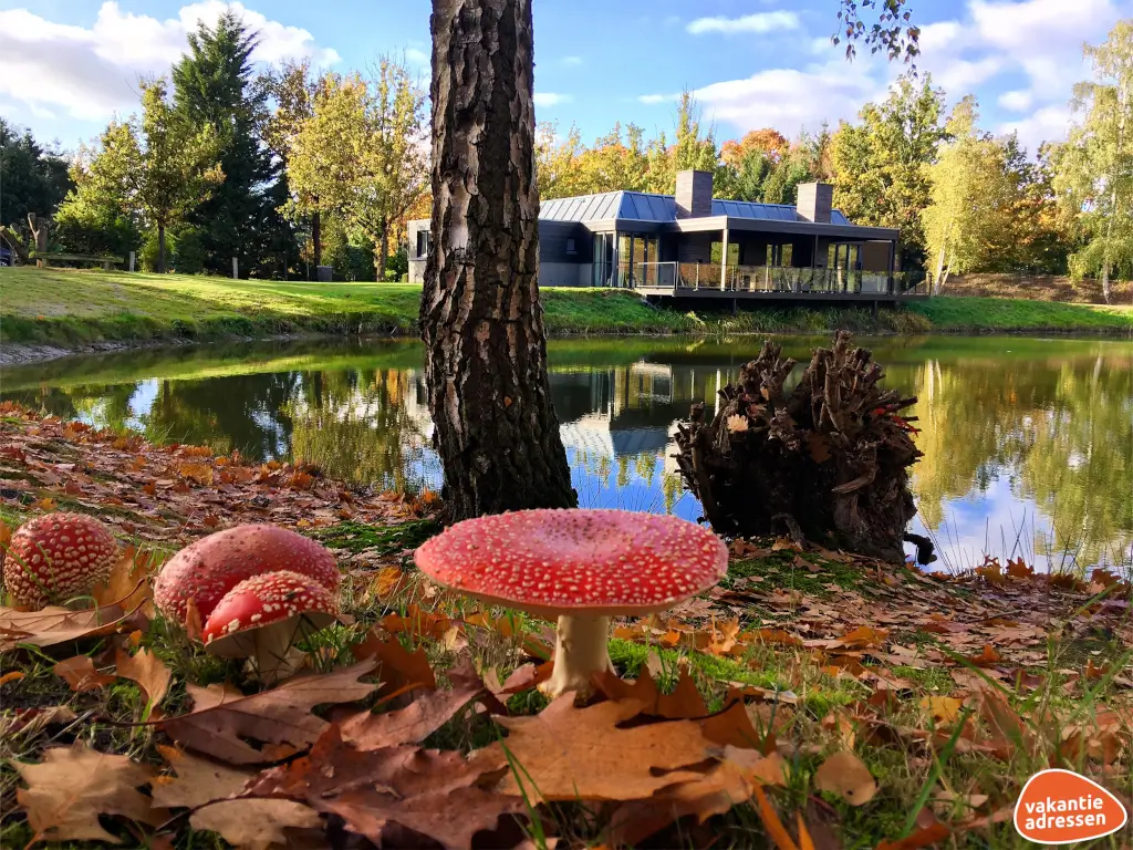 Vakantieadressen accommodatie afbeelding