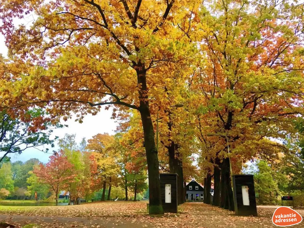 Vakantieadressen accommodatie afbeelding