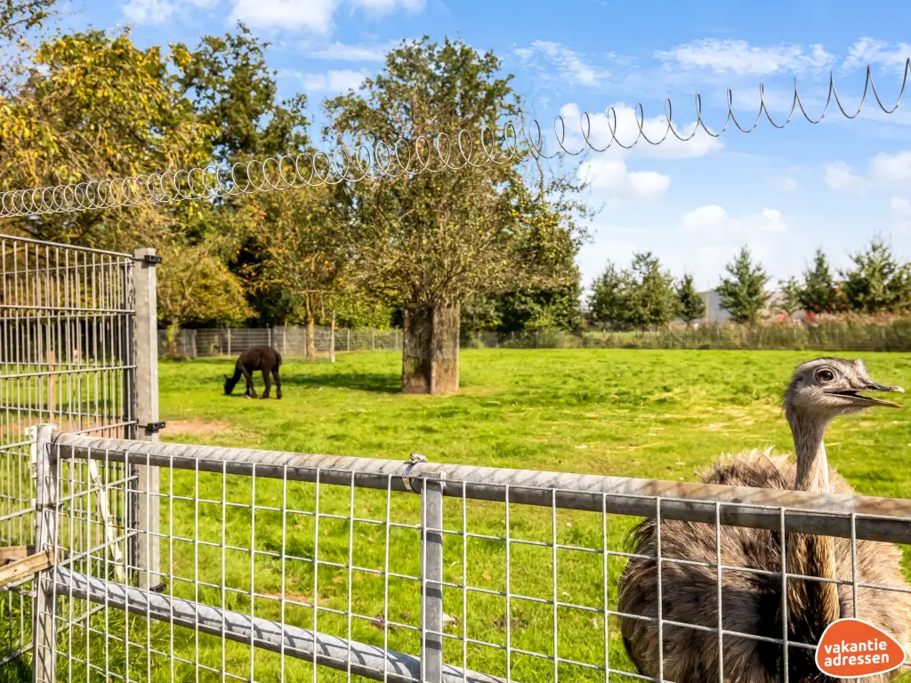 Vakantieadressen accommodatie afbeelding