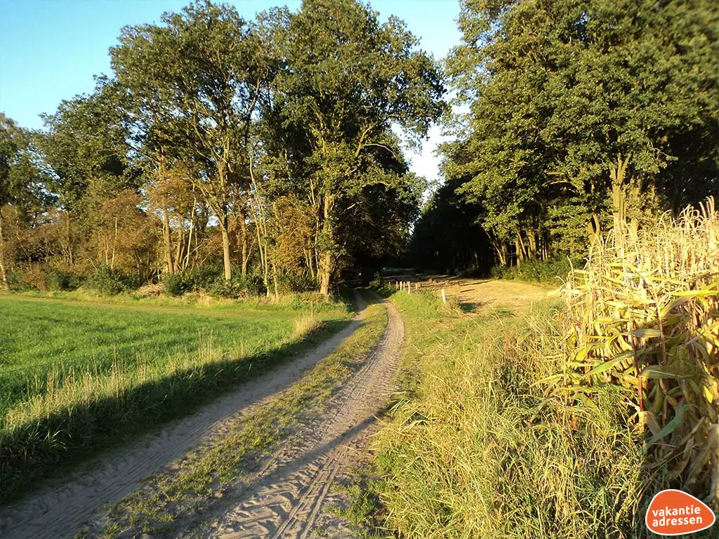 Ferienwohnung in Diever (Drenthe) für 25 Personen.