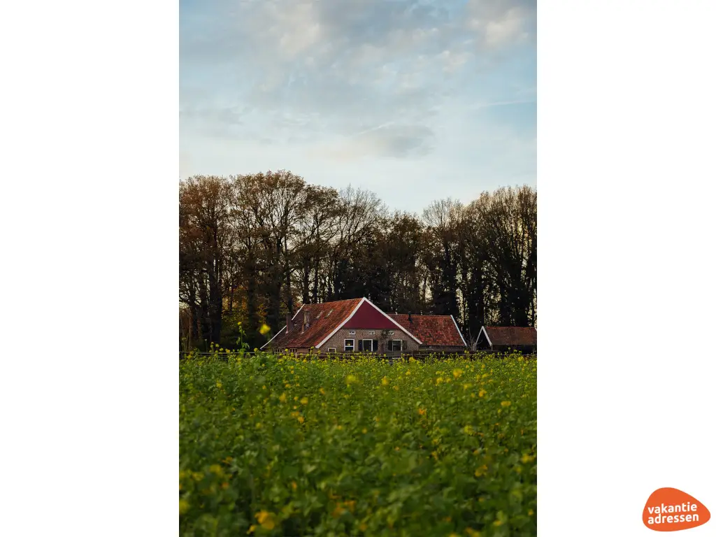 Vakantieadressen accommodatie afbeelding