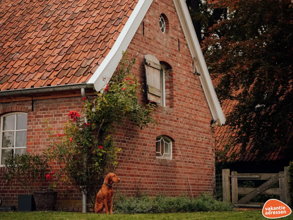 Vakantieadressen accommodatie afbeelding