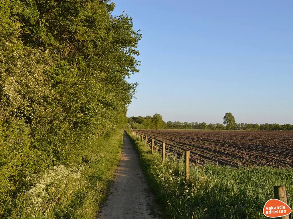 Ferienwohnung in Rekken (Gelderland) für 12 Personen.
