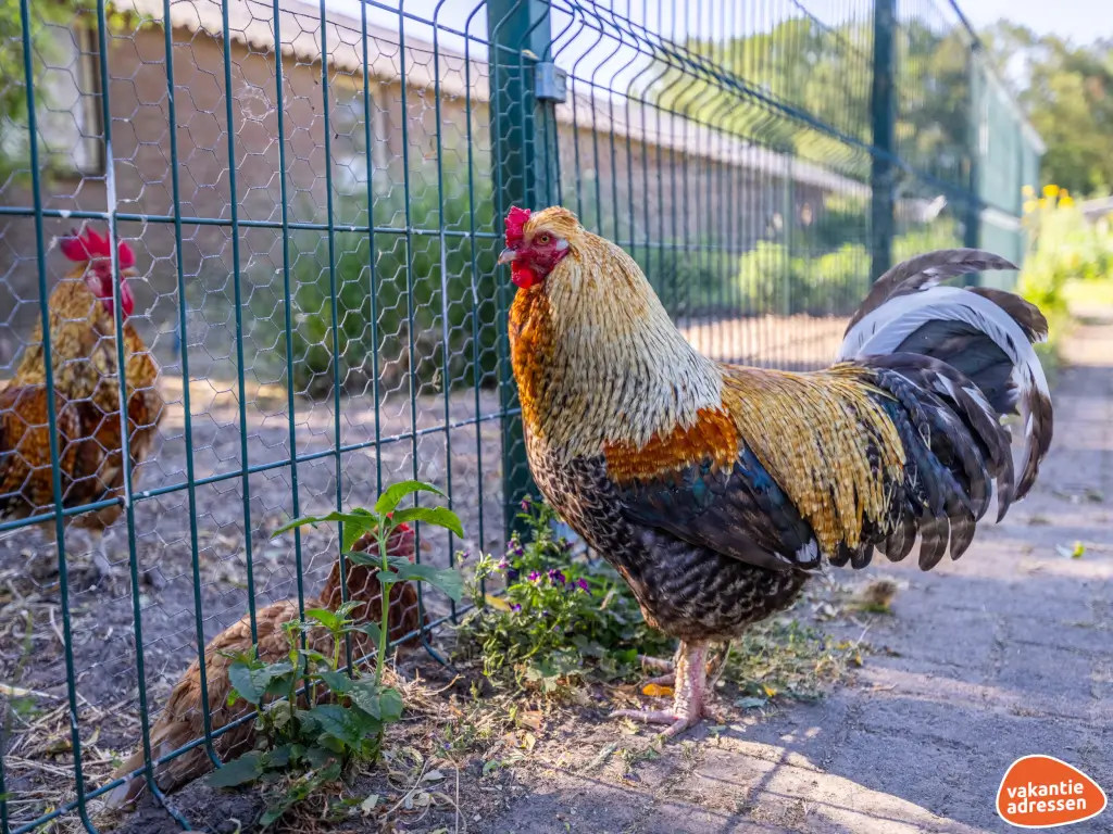 Vakantieadressen accommodatie afbeelding