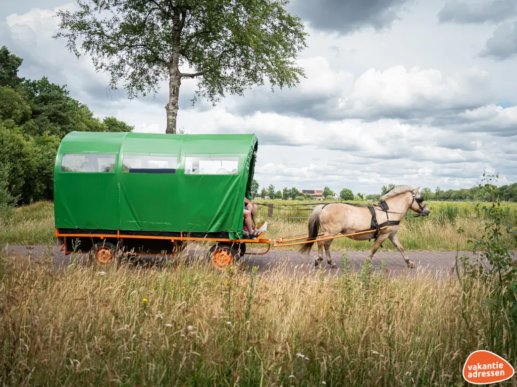 Vakantieadressen accommodatie afbeelding