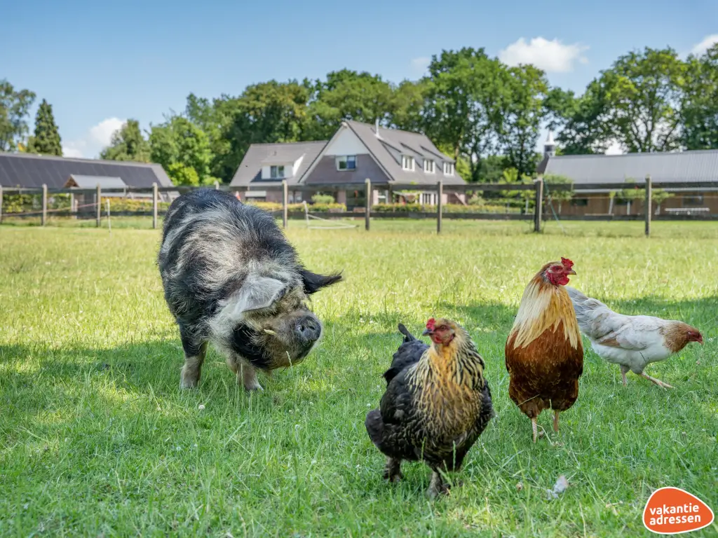 Vakantieadressen accommodatie afbeelding