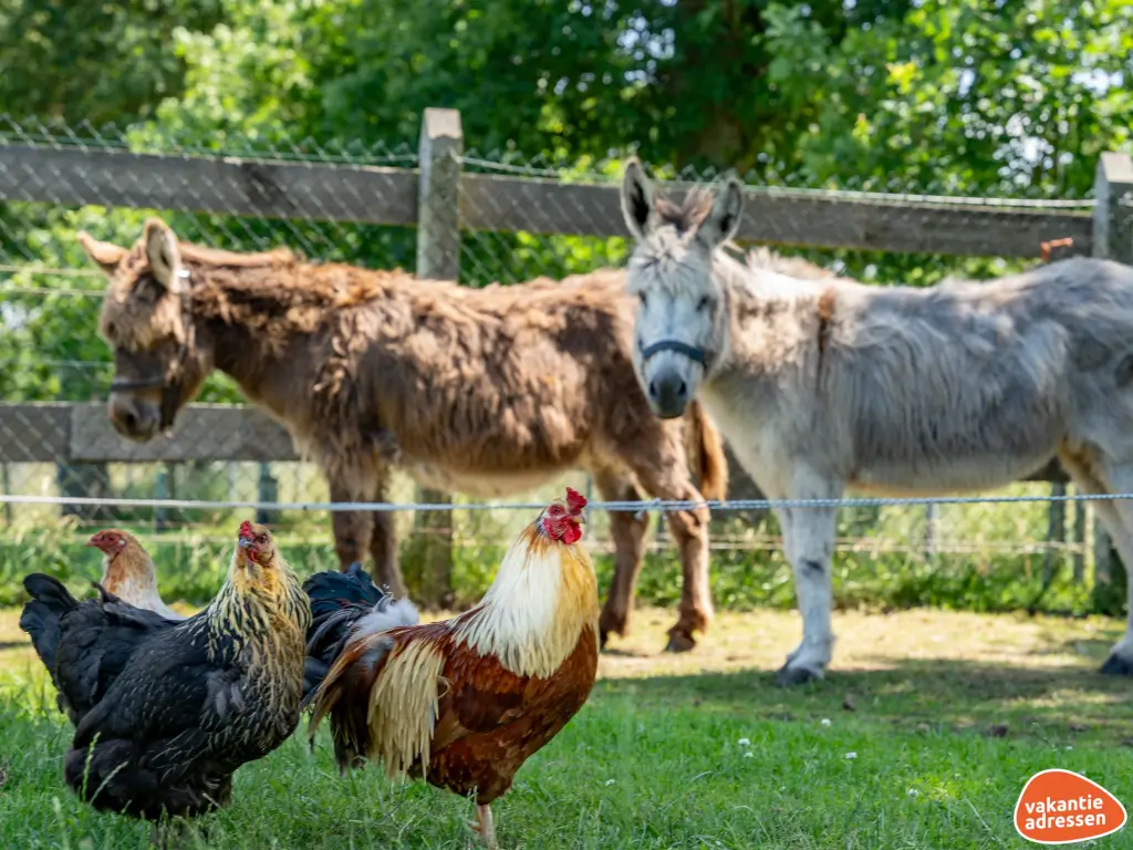 Vakantieadressen accommodatie afbeelding