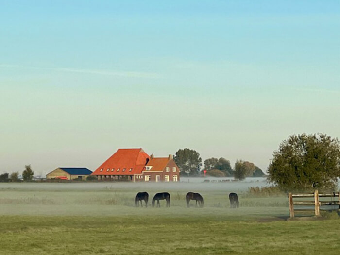 Ferienwohnung in Sloten (Friesland) für 10 Personen.