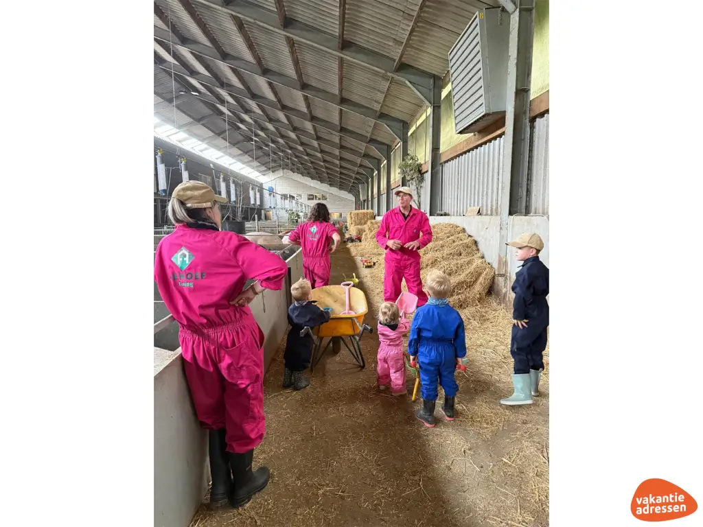 Vakantieadressen accommodatie afbeelding