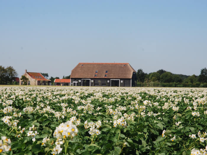 Ferienwohnung in Oostkapelle (Zeeland) für 30 Personen.