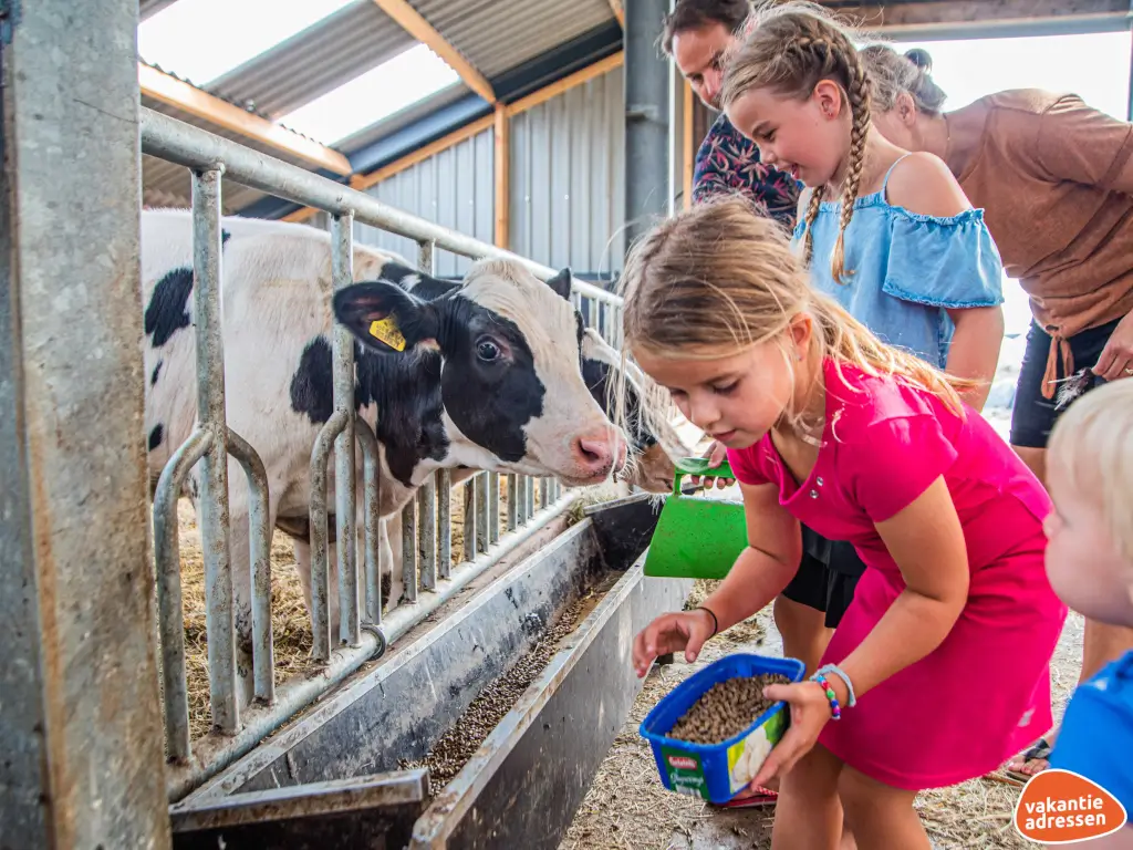 Vakantieadressen accommodatie afbeelding