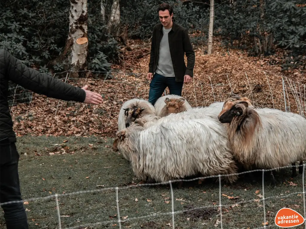 Vakantieadressen accommodatie afbeelding