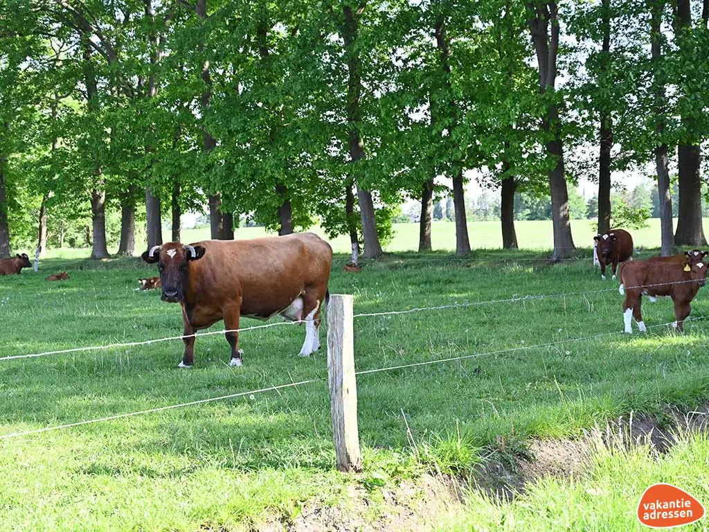 Vakantieadressen accommodatie afbeelding