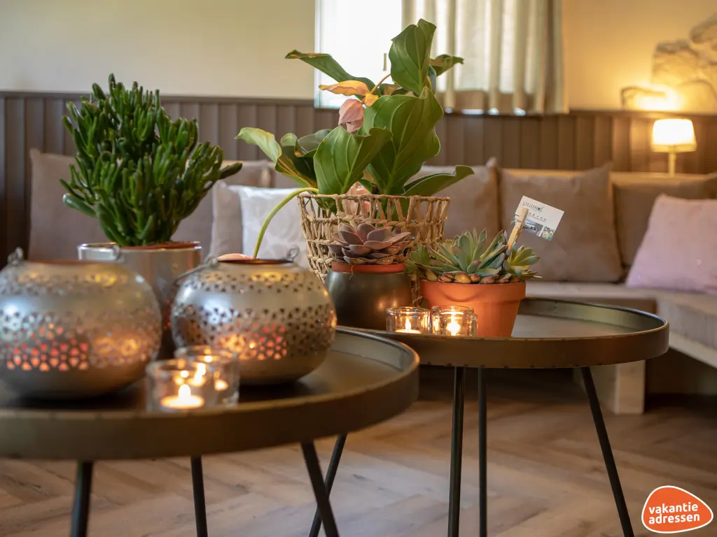 Vakantieadressen accommodatie afbeelding