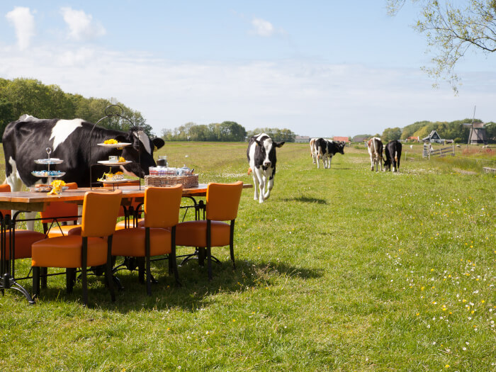 Ferienwohnung in Oudesluis (Nordholland) für 26 Personen.