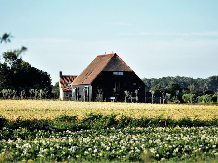 Ferienwohnung in Oostkapelle (Zeeland) für 20 Personen.