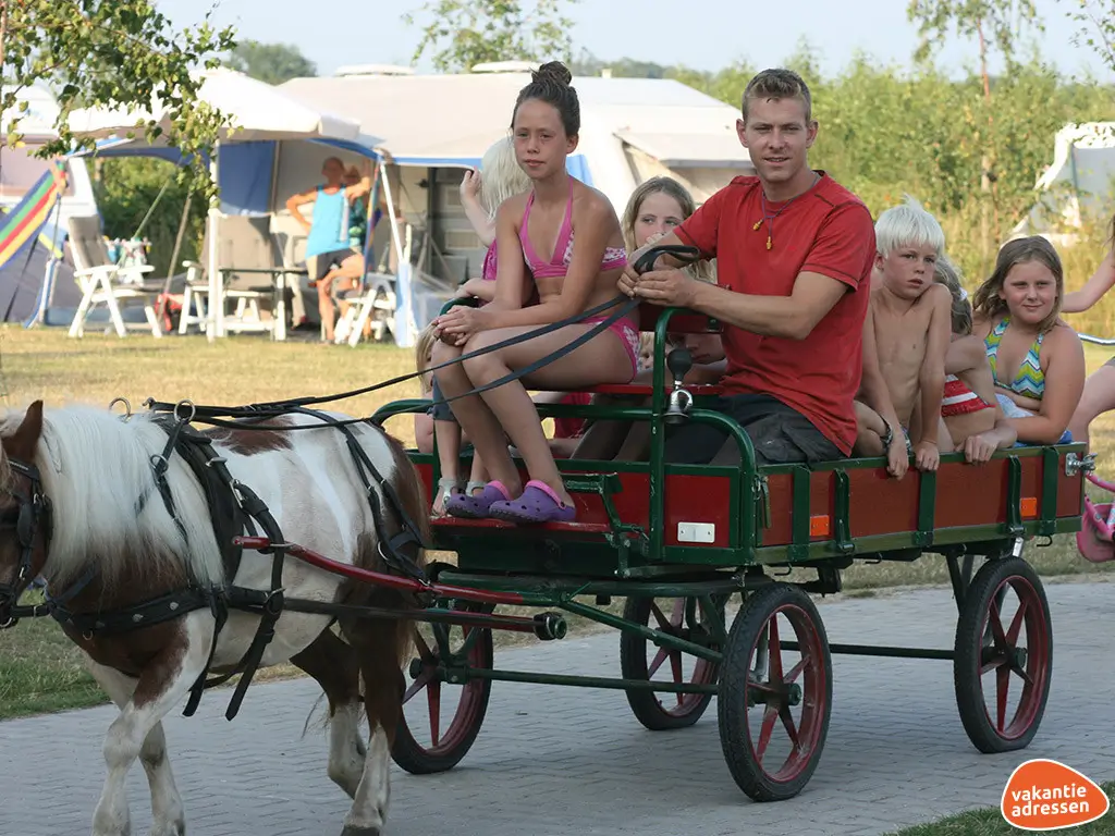 Vakantieadressen accommodatie afbeelding