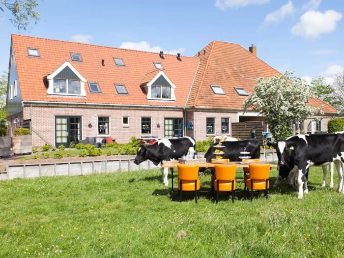 Ferienwohnung in Oudesluis (Nordholland) für 22 Personen.